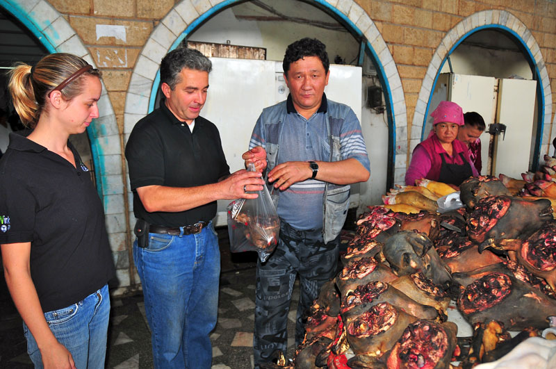 Kyrgyzstan, Asie Centrale